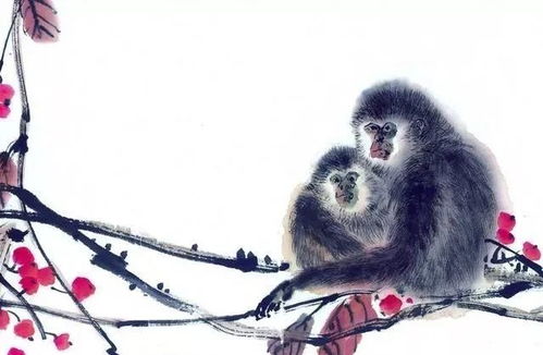 74年虎女：婚姻过山车般的刺激人生