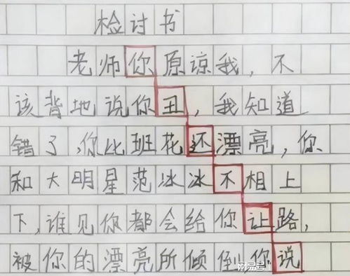 五、 反思与调整: 持久运用