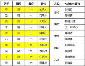 女命地支巳具体代表着什么含义和象征？