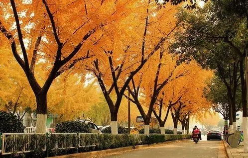 2.1 随机拼凑的新奇称呼（玩全无厘头）