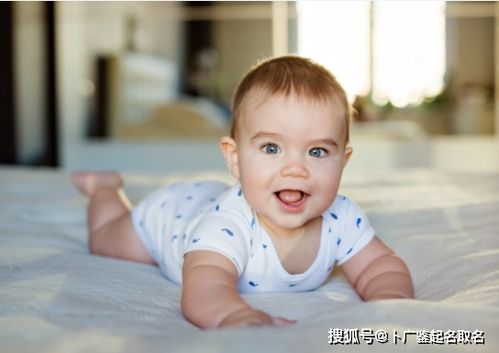 鸡年出生的小宝贝：乳名背后的故事与情感共鸣