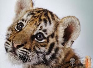 4.1 例子集合（随手抄写版）