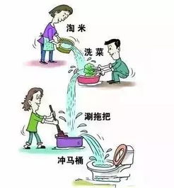 饮食、 作息与运动的系统化提议