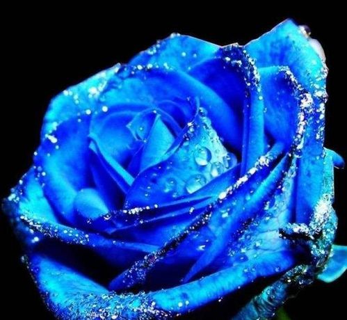 2026年蛇年最忌哪个月份出生，该年运势如何？