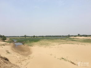 康平沙漠：花钱买罪受的终极指南！2026年黄历警告版