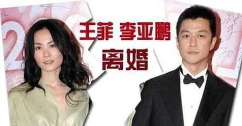 林夕词作的诗学特征