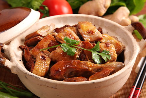 2．华东苏州——羊肉炉与姜母鸭并存