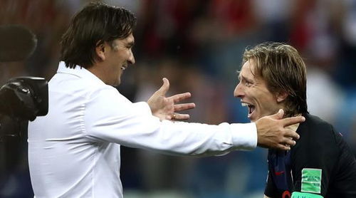 噪音干扰：惯与海因里奇逊教的研究细节