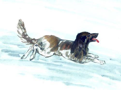 属狗：信任资本的转化与风险控制能力