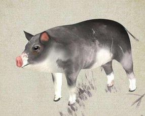 十一月财运亨通之宏观星象与生肖运势的深度解析