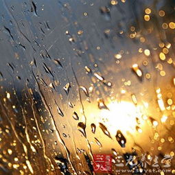 一、 从传统周公解梦角度解读“梦见雨”
