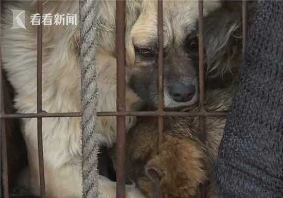 餐饮业：精益求精、品质至上