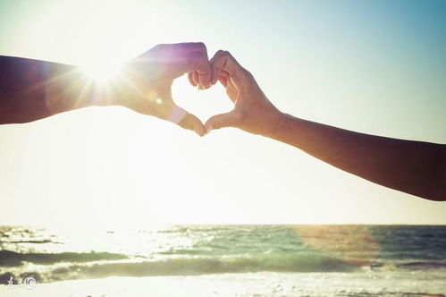 三、  十二生肖相合度与风水布局的辅助作用