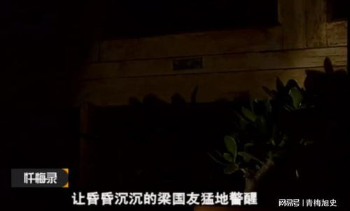 一、 狮子山画卷：天然之美与命运之谜