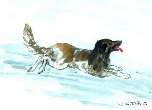 1982年属狗男性在2026年的运势和命运如何？