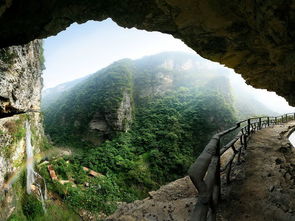 吃喝玩乐乱七八糟版图鉴：