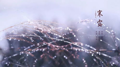 第一节：露气凝结的自然法则与阴阳消长