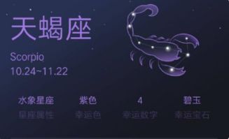 三、 西方射手座与中国属猪—星座学及八字命盘双沉重解读