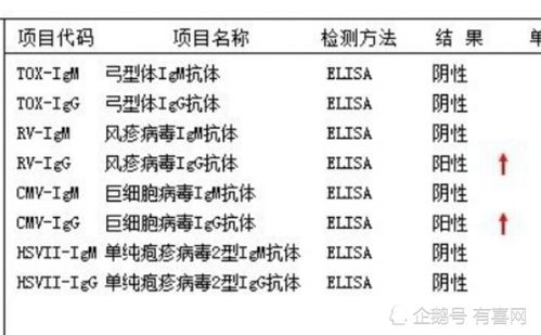 为哪些要进行孕前四项病毒检查？