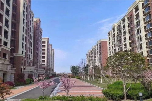 1. 数字“9”的文化隐喻与吉祥寓意