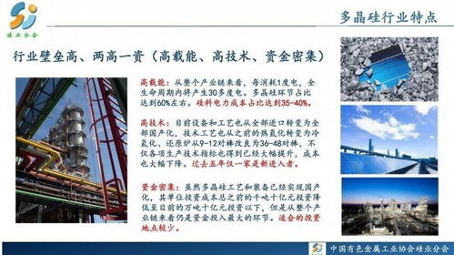 ：关于2025年1月8日择吉问题的理论背景与研究缘起