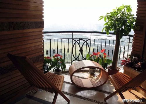 2. 朝东阳台：木气初升的温和光照环境