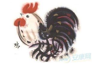 属鸡姓牛女孩名字推荐