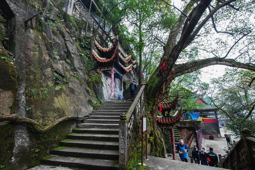 重庆老君洞观音灵签27求签祈福具体步骤是怎样的？