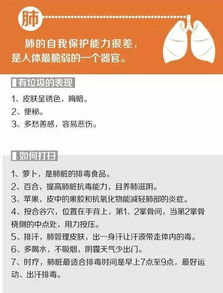 石头节的习俗与“要债”禁忌