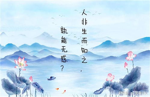 逆境中成较长的智慧