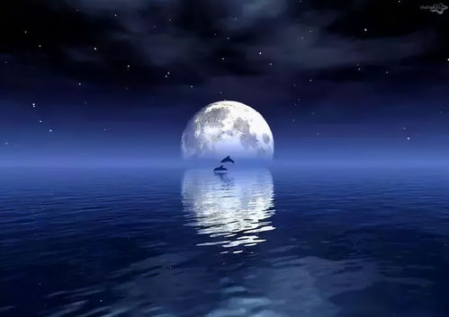 ：生肖星座与风水角度下的解读