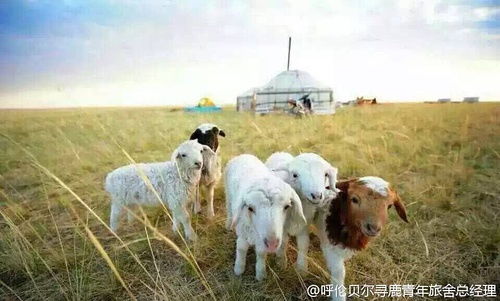 与其他神祇之关联：喜利妈妈的守护角色