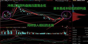 今后趋势预测：从较大数据角度审视掌纹学的持续发展前景
