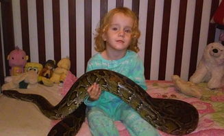 梦见蟒蛇生女孩是否预示着即将迎来生女儿的喜悦？