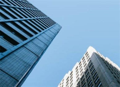 命名原则的理论框架