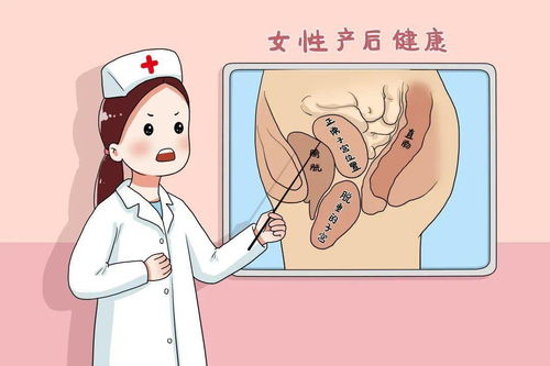 正统途径：多维度的还债方法论