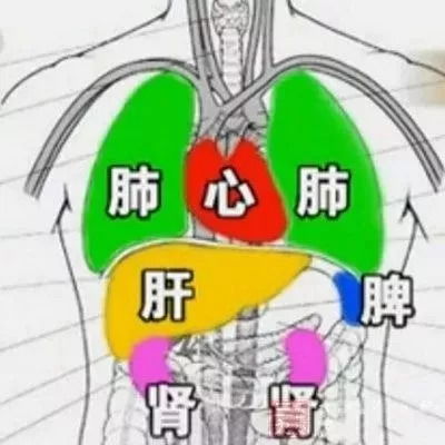 金生水：肺气清肃涵养肾水