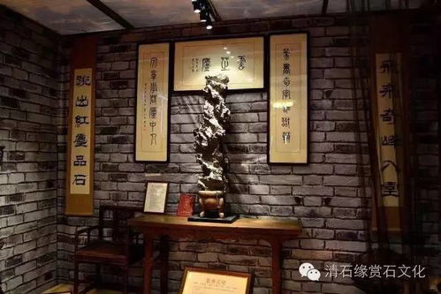 家里摆放石头风水吉凶，镇宅第一名树是哪种？