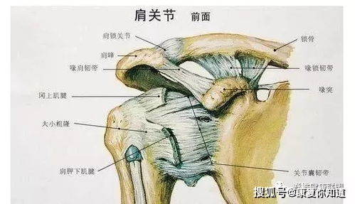 第二章：基于五行生克理论的饮食调摄策略
