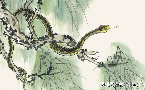 二、 生肖蛇：智慧布局、稳中求胜