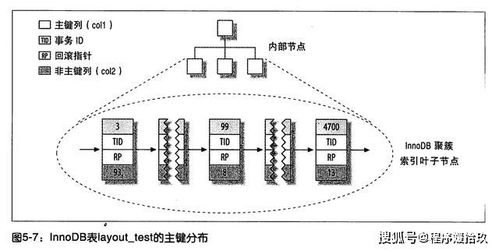 第一节：正格理论架构及其哲学思想基础