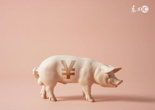 1971年属猪女性在2026年运势如何改变？