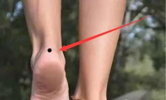 三、 隐痣与显痣：福泽深厚的文化表征