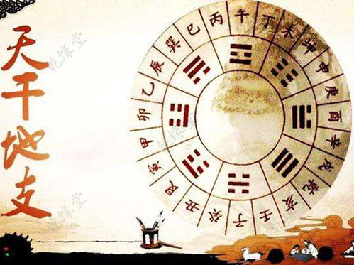 八字中天干和地支哪个更重要，为何常说八字贵在天干？