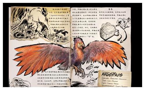史前巨型猛禽——哈斯特巨鹰（Pterornis or Hesperornis? ）