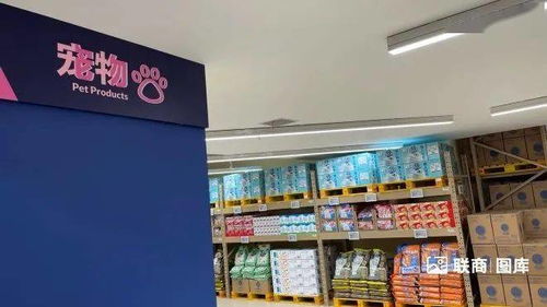 创崭新组合，打造独特品牌！