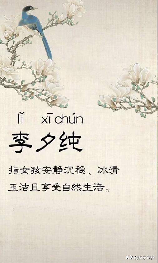 简洁名字的特点