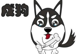 2026年属狗人的财运如何，每个月的财运变化是怎样的？