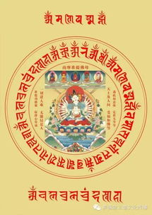 五、念诵过程中的反应与注意事项