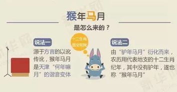 八字与时辰吉凶分析——名词化处理后的系统呈现